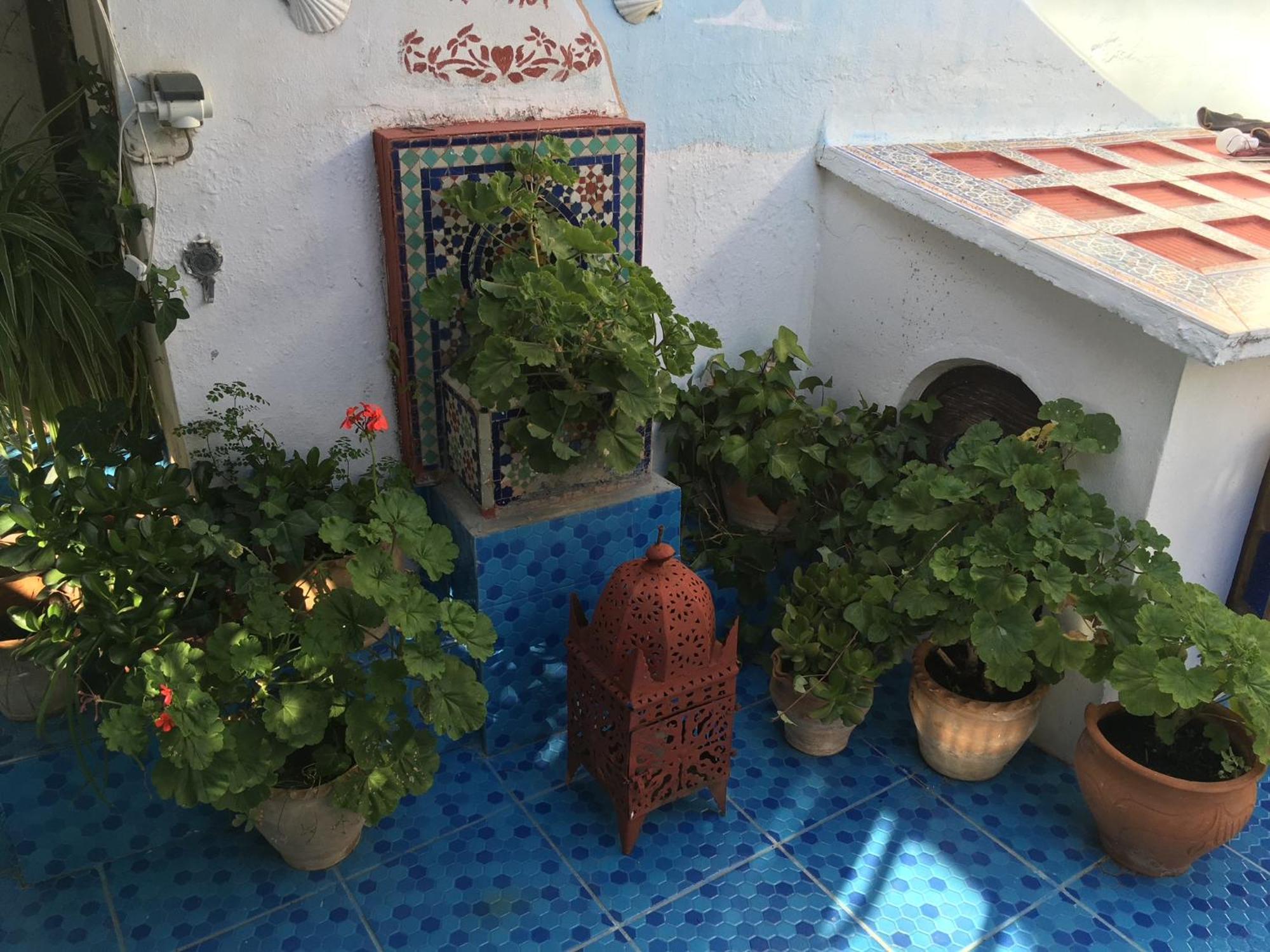 Hathor ,Casa Marroqui Con Dos Terrazas En La Medina Antigua , Ideal Parejas!! Wifi!! Asilah Buitenkant foto